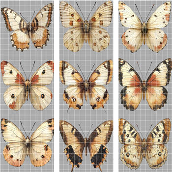 holographic Big-  1859